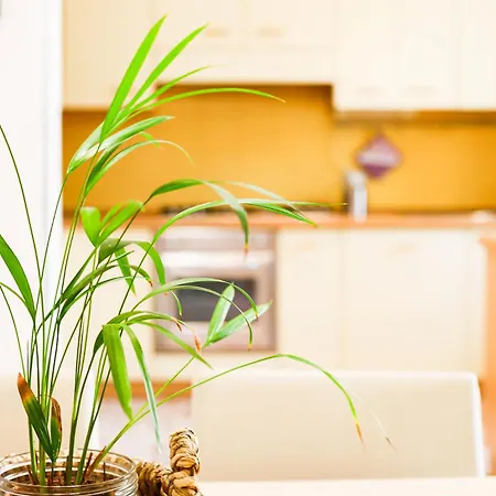 Casa Di Clara - Centralissimo Lägenhet Gallipolli